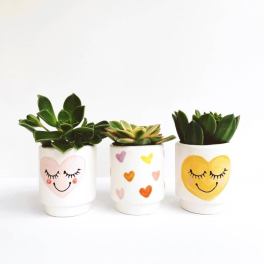 Three small potted succulents in painted white pots with heart faces