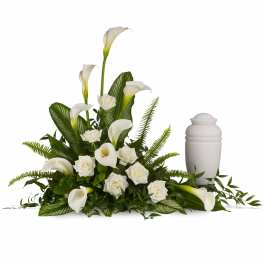 Stately Lilies
