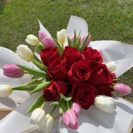 Bouquet of red roses and pink and white tulips wrapped in white paper