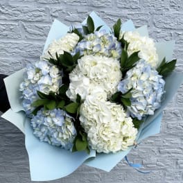 Bouquet of white and pale blue hydrangeas wrapped in light blue paper
