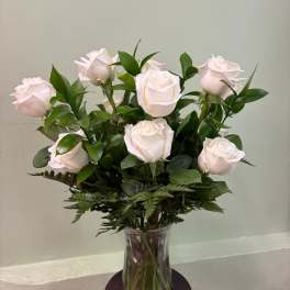 White Serenity Roses