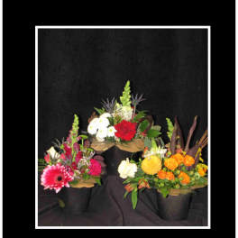 Three colorful flower arrangements in black containers against a dark background