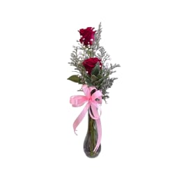Two red roses in a glass vase with a pink ribbon