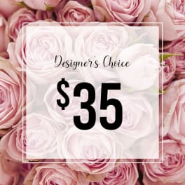 Designer's Choice-35$