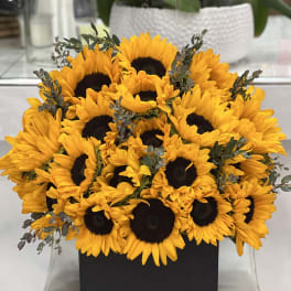 Bouquet of bright yellow sunflowers in a black box