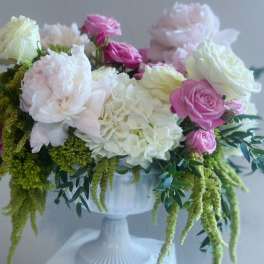Pink and white roses with hydrangeas in a white pedestal vase
