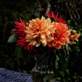 Orange and red dahlia bouquet in a clear glass vase
