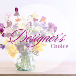 Designer's Choice