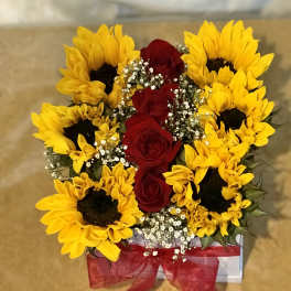 sunflowers in a box