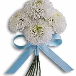 White chrysanthemum bouquet tied with a blue ribbon