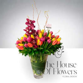 Queen Leticia by The House of Flowers