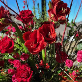 Red amaryllis and roses arranged with red berry accents
