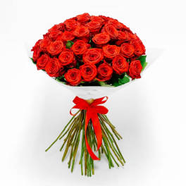 Bouquet of red roses wrapped in white paper with a red ribbon