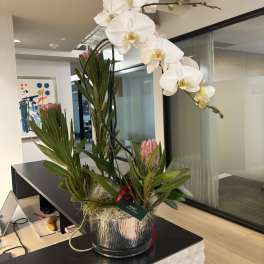 White orchid arrangement in a glass vase with pink protea blooms