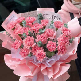 ternura de ramo en rosadito