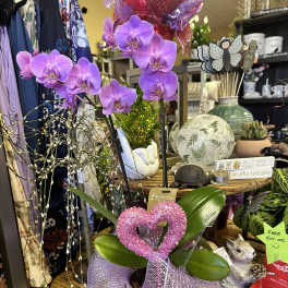 Purple orchid plant in a decorative pot with a pink heart topper