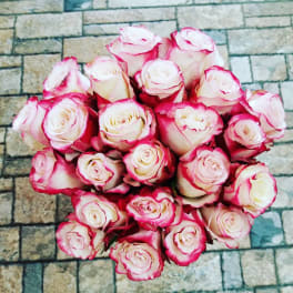 Bouquet of white roses with pink edges