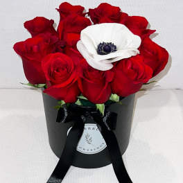 Red roses with a white anemone in a black hatbox tied with ribbon