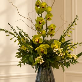 Tall green orchid arrangement in a glass vase with white accent flowers