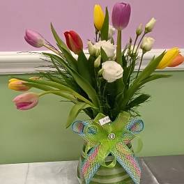 Elegant mixed color tulip arrangement with spray rose.