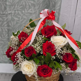 Basket arrangement of red and white roses with ribbon