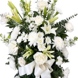 Peaceful White Tribute