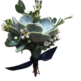 Succulent bouquet with small white blossoms and a dark ribbon