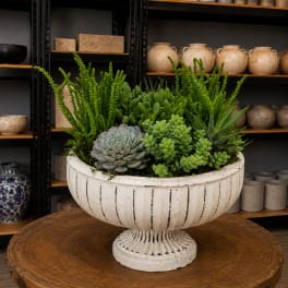 Succulent arrangement in a white pedestal bowl on a wooden table