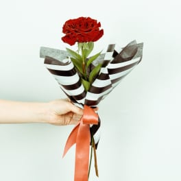 Single red rose wrapped in striped paper with a ribbon
