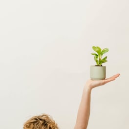 Small Plant