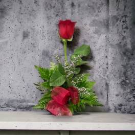 Single red rose with greenery and a red ribbon