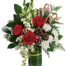 Teleflora's Festive Pines Bouquet