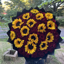 Bouquet of yellow sunflowers and deep red roses wrapped in black paper