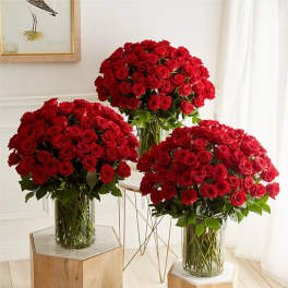 Three large bouquets of red roses in clear glass vases