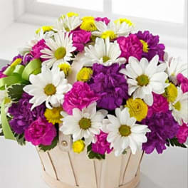 Basket of white daisies, pink carnations, and purple flowers