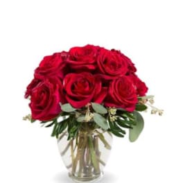 Ruby’s roses