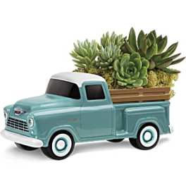Ceramic pickup truck planter with succulents