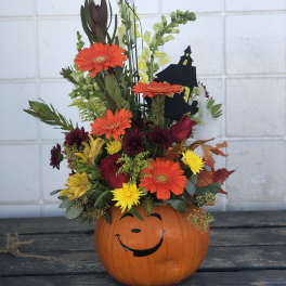Visser's Pumpkins