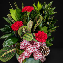 Red carnations in a leafy arrangement with a patterned bow and pinecones