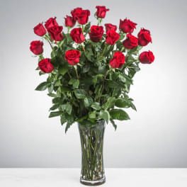 Two Dozen Long Stemmed Roses by BloomNation™