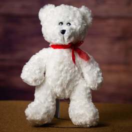 Curly White Bear 14 inch