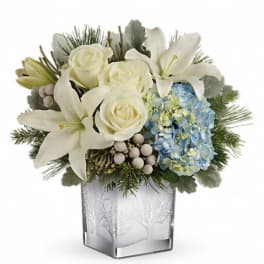 Teleflora's Silver Snow Bouquet