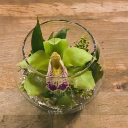 Small green floral arrangement in a round glass bowl with one orchid bloom
