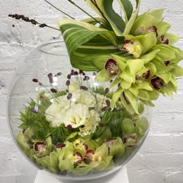 Green orchids arranged in a glass bowl with white flowers and burgundy accents