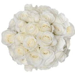 Tightly clustered round bouquet of ivory and white roses viewed from above