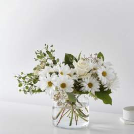 White daisies and a cream rose in a clear glass vase.