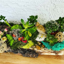 Succulent and cactus arrangement on a bark base with a small bird figurine
