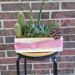 Chic Succulent Garden by BloomNation™
