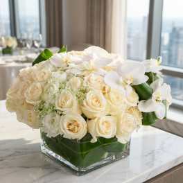 Pure White (DB)
