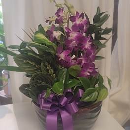 Purple orchids arranged in a dark bowl with a ribbon bow